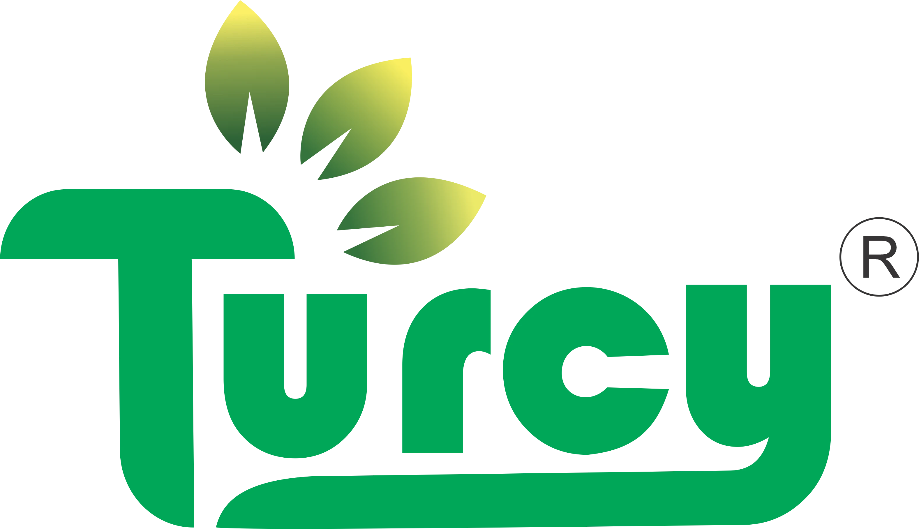 Turcy